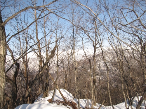 吾妻耶山　三角点