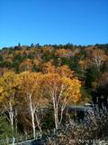 長野県万座温泉の近く御飯岳ハイクにいった。紅葉真っ盛りとお天気も良く最高でした。by  kazuo
480x640(177KB)