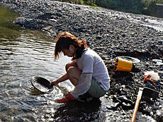 北海道　カムイコタン公園へ砂金堀り、夢叶わず。歴舟川はゴールドラッシュにわいていたといわれる。今でも、砂金が眠っており、伝統の技法で一攫千金のロマンを味わっただけ。成果　金１個（極小）by ゲストさん
640x480(413KB)