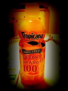 100%オレンジジュース美味しいよ。by  kazuo
480x640(96KB)