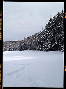 北八ヶ岳の白駒池にいって来ました。雪が沢山有りましたよ。気温もあまり低くなくて、でも道路歩きはウンザリでした。by  kazuo
480x640(101KB)