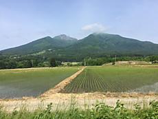 今日は綺麗です。磐梯山ご機嫌です。by ゲストさん
640x480(108KB)