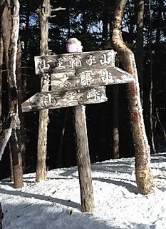 スノーシューで登頂by  kazuo
265x365(48KB)