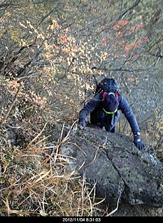男坂から登ったが、思ったより楽に登れました。by  kazuo
466x640(124KB)
