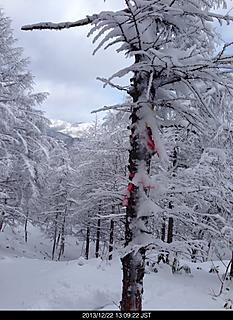 藪原高原スキー場からスノーシューで奥峰へ。雪深くパウダースノーすぎて腰まで埋まります。踏み抜きが多くなり大笹沢山まで行けず撤退。奥峰すぎ引き返しました。by ゲストさん
466x640(151KB)