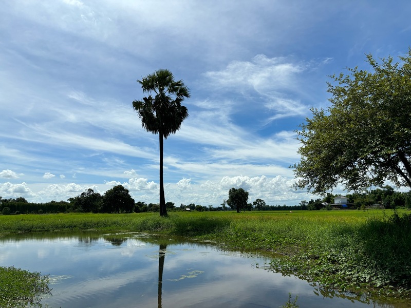 タイ王国「田園風景」