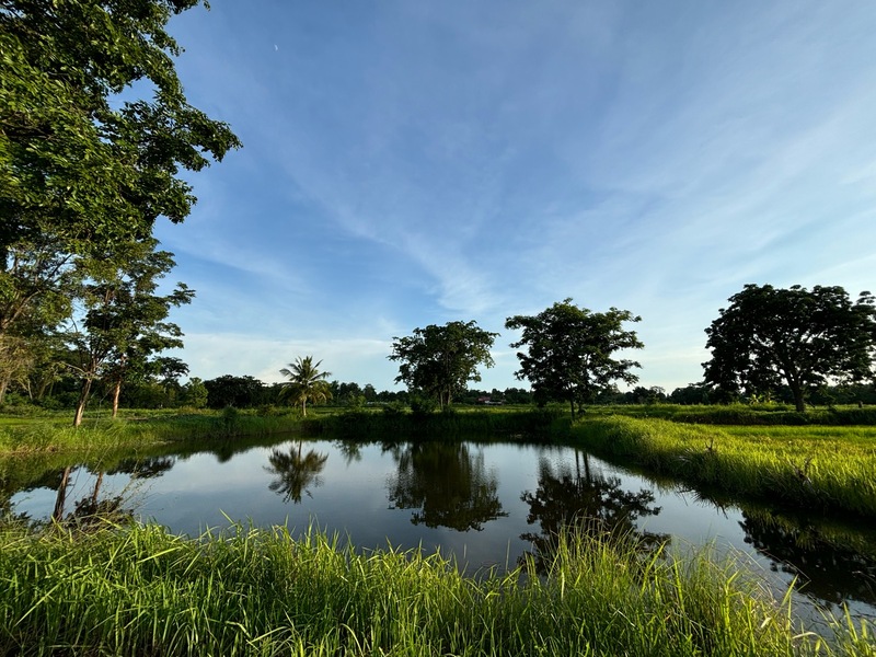 タイ王国「田園風景」