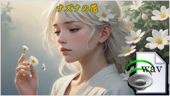 ナズナの花(Folk)