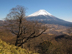 竜ヶ岳中腹から富士山