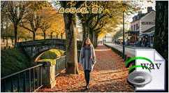 並木道の余光(Indie R&B)