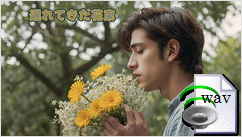 遅れてきた花束(J-pop)
