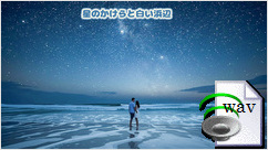 星のかけらと白い浜辺(Hawaiian)