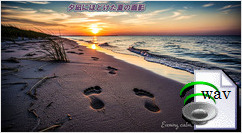 夕凪にほどけた夏の面影(Hawaiian Ballad)